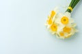 Spring flowers daffodil bouquet - top view of white narcissus on blue pastel background with copy space. Royalty Free Stock Photo