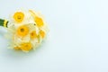 Spring flowers daffodil bouquet - top view of white narcissus on blue pastel background with copy space. Royalty Free Stock Photo