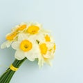 Spring flowers daffodil bouquet - top view of white narcissus on blue pastel background with copy space. Royalty Free Stock Photo