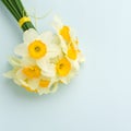 Spring flowers daffodil bouquet - top view of white narcissus on blue pastel background with copy space. Royalty Free Stock Photo