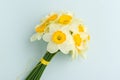 Spring flowers daffodil bouquet - white narcissus on blue pastel background. Royalty Free Stock Photo