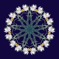 Spring flowers. Daffodil flowers interlaced into an intricate circular ornament on a dark blue background. Art Nouveau