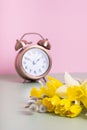 Spring flowers daffodils and willow with defocused alarm clock. Spring time, daylight savings concept, spring forward Royalty Free Stock Photo