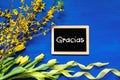 Spring Flowers Decoration, Branch, Blackboard, Gracias Means Thank You