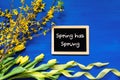 Spring Flowers Decoration, Branch, Blackboard, Text Spring Has Sprung Royalty Free Stock Photo