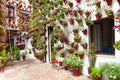 Spring Flowers Decoration of Old House Patio, Cordoba, Spain Royalty Free Stock Photo