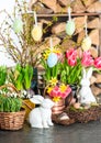 Spring flowers with easter bunny, eggs decoration Royalty Free Stock Photo