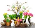 Spring flowers with easter bunny and eggs decoration Royalty Free Stock Photo