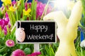 Spring Flowers, Easter Decoration, Happy Weekend Royalty Free Stock Photo