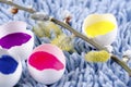 Spring flowers and Easter egg shells filled with colorful paints Royalty Free Stock Photo
