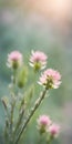 Spring flowers emerging gently, a burst of life in a minimalist landscape. Softly out of focus, lending an ethereal charm