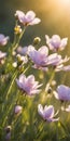 Spring flowers emerging gently, a burst of life in a minimalist landscape. Softly out of focus, lending an ethereal charm