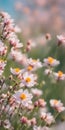 Spring flowers emerging gently, a burst of life in a minimalist landscape. Softly out of focus, lending an ethereal charm