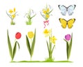 Spring flowers. Floral garden collection bouquet of cartoon flowers chamomiles tulips vector set