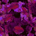 Spring flowers, flower petals in pink, violet  color. Abstract background, hand-painted watercolor, drops of paint. Design Royalty Free Stock Photo