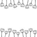 Spring flowers. Frame from outline tulips. Vector doodle hand drawn isolated. Horizontal top and bottom edging, border, decoration Royalty Free Stock Photo