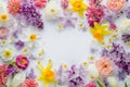Spring flowers frame with tulips, daffodils, crocuses, hyacinths, lilacs, cherry blossoms, azaleas on white background