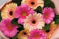 Spring flowers gerbera bouquet. Mother`s Day Women`s Day Valentine`s Day birthday