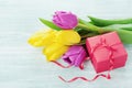 Spring flowers and gift box light table Royalty Free Stock Photo