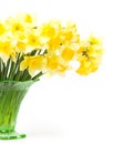 Spring flowers in a glass vase