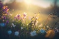 Spring flowers and grass meadow on warm golden hour sunset or sunrise time. Tranquil spring summer nature close up, Generative AI Royalty Free Stock Photo