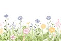 Spring flowers and grass seamless background Royalty Free Stock Photo