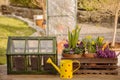 Spring flowers greenhouse Royalty Free Stock Photo