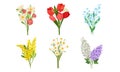 Spring Flowers Growth Vector Set. Colorful Garden and Wild Plants Growing in Spring