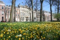 Spring Flowers in The Hague Royalty Free Stock Photo