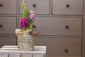Spring flowers hyacinths and daffodils in decorative pots are on a wooden box