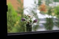 Spring flowers include daisies at the window