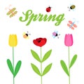 Spring flowers and insect vector background