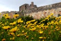 Spring Flowers inside the citadel Milazzo Sicily. Italy Royalty Free Stock Photo