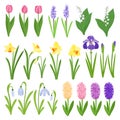 Spring flowers. Irises, lilies of valley, tulips, narcissuses, crocuses and other primroses. Garden design icons Royalty Free Stock Photo