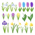Spring flowers. Irises, lilies of valley, tulips, narcissuses, crocuses and other primroses. Garden design icons Royalty Free Stock Photo