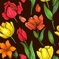 spring flowers and leaves of tulips painted by watercolor.