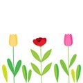 Spring flowers with leaves vector background