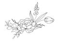 Spring Flowers Line Drawing. Black and white Floral Bouquets. Flower Coloring Page. Floral Line Art. Fine Line Flowers Royalty Free Stock Photo