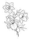 Spring Flowers Line Drawing. Black and white Floral Bouquets. Flower Coloring Page. Floral Line Art. Fine Line Flowers Royalty Free Stock Photo