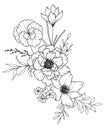 Spring Flowers Line Drawing. Black and white Floral Bouquets. Flower Coloring Page. Floral Line Art. Fine Line Flowers Royalty Free Stock Photo