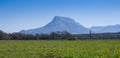 Spring flowers in meadow and mountain range in spring in Sakana Royalty Free Stock Photo