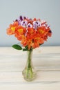Spring Flowers Orange alstromeria flwoers in Glass Vase Wooden Background Royalty Free Stock Photo
