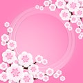 Spring flowers in the paper art style of Sakura or Cherry blossom frame with your copy space on pink background Royalty Free Stock Photo