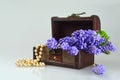 Spring flowers and pearls in treasure chest Royalty Free Stock Photo