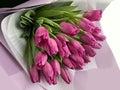 Spring flowers on a pink background, tulips. Bouquet of pink tulips in paper packaging Royalty Free Stock Photo