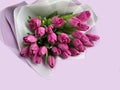 Spring flowers on a pink background, tulips. Bouquet of pink tulips in paper packaging Royalty Free Stock Photo