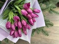 Spring flowers on a pink background, tulips. Bouquet of pink tulips in paper packaging Royalty Free Stock Photo