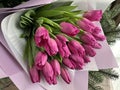 Spring flowers on a pink background, tulips. Bouquet of pink tulips in paper packaging Royalty Free Stock Photo