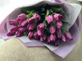 Spring flowers on a pink background, tulips. Bouquet of pink tulips in paper packaging Royalty Free Stock Photo