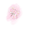 Spring flowers pink color cute mood